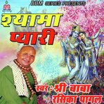 Shyama Pyari - Baba Rasika Pagal Song Download